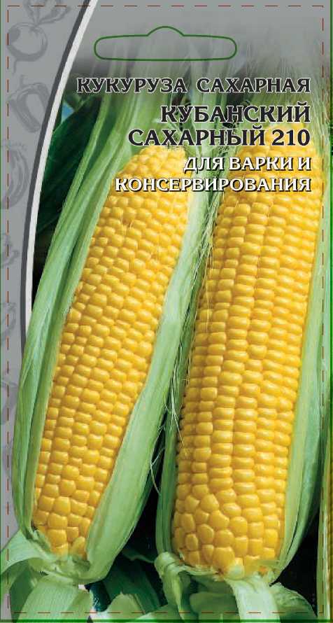Кукуруза Кубанский сахарный 210 5 гр цв.п