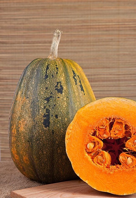 Тыква твердокорая Грибовская Кустовая 189 2 гр  б.п