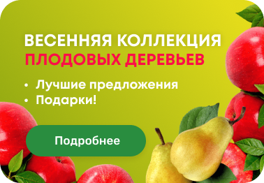Нажми на фрукты в определенном. АГРОСЕМФОНД интернет-магазин отзывы форум покупателей.