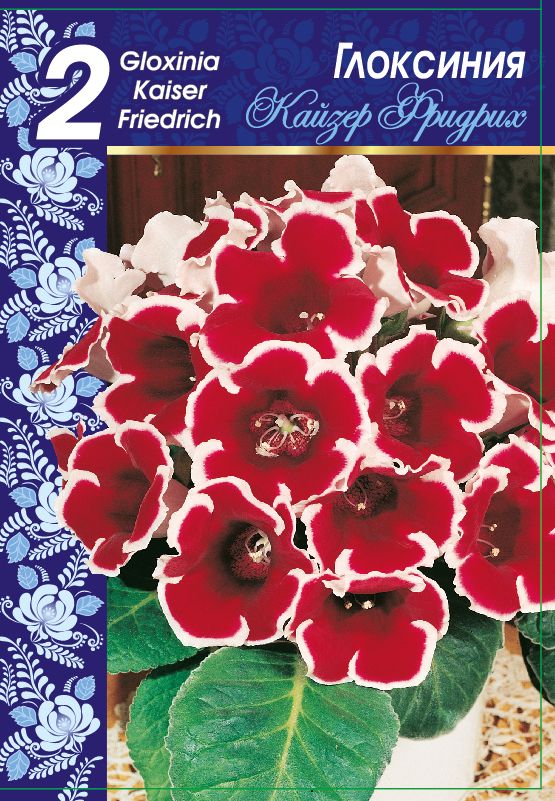 

Глоксиния Кайзер Фридрих 1 уп. (2 шт.)