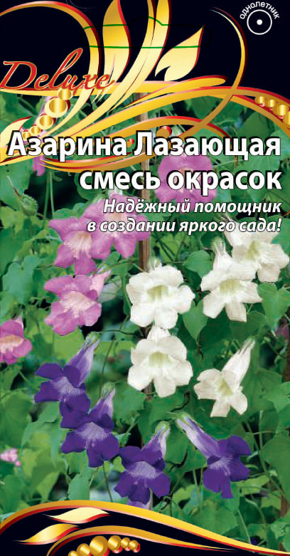 

Азарина Лазающая смесь 10 шт