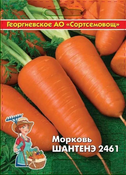 Морковь Шантанэ 2461 (Сортсемовощ) 10 гр цв.п