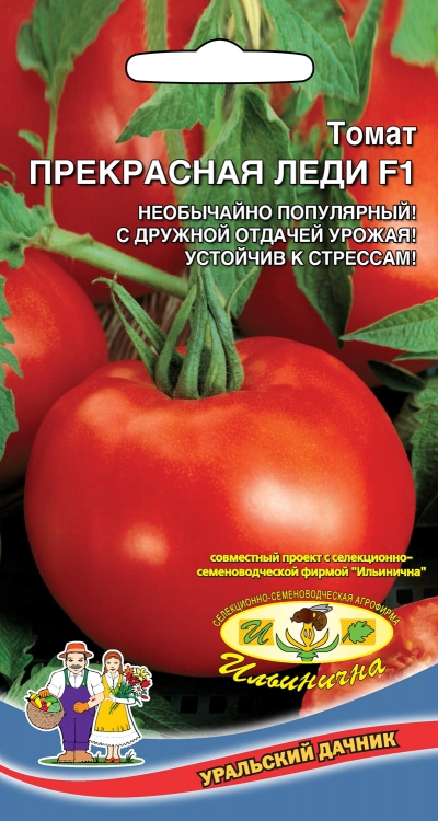 Томат Прекрасная Леди F1 (УД) 12 шт цв.п