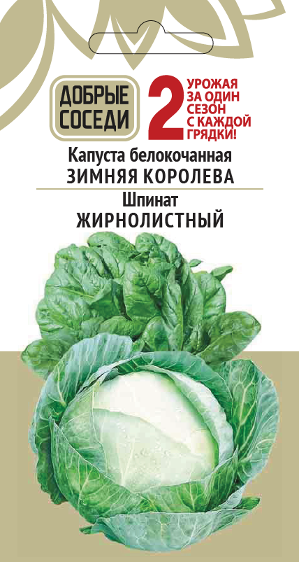 

Капуста белокочанная ЗИМНЯЯ КОРОЛЕВА и Шпинат ЖИРНОЛИСТНЫЙ