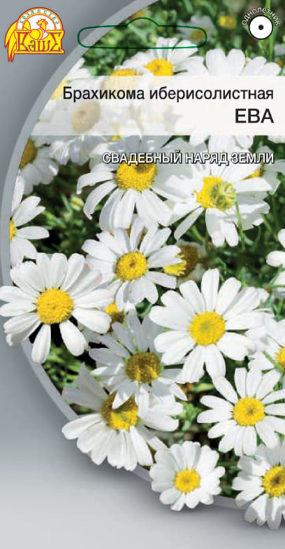 Брахикома иберисолистная Ева 0,02 гр      