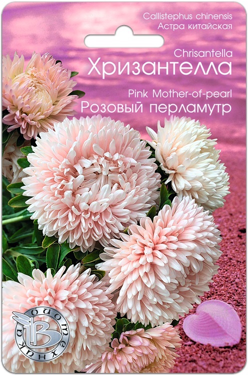 Астра Хризантелла Розовый перламутр 30 шт астра хризантелла тропикана семена цветы