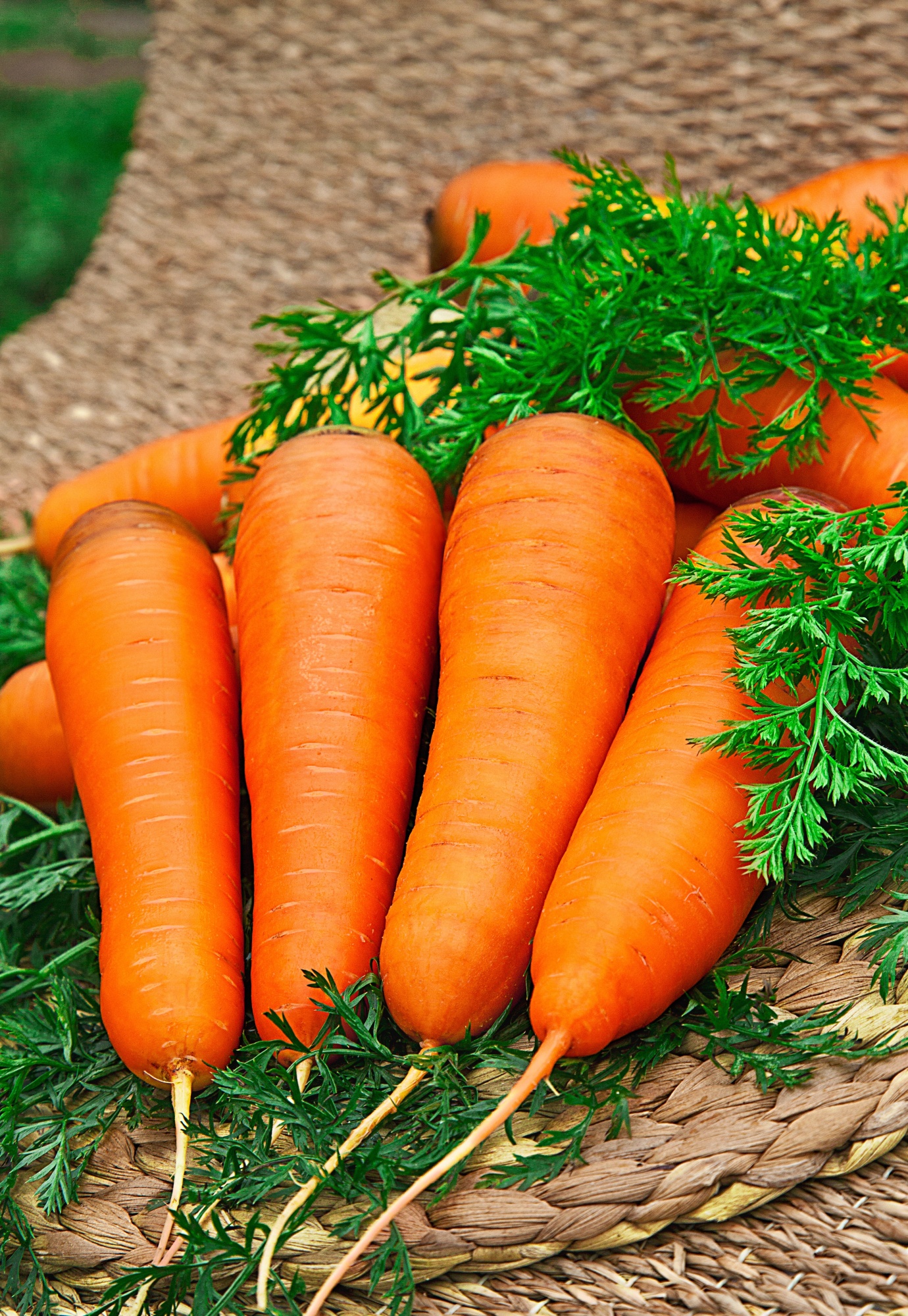 Морковь Курода Шантанэ 1 гр ц.п. КЭШБЭК 25%