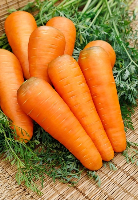 Морковь Осенний король 2 гр б.п.