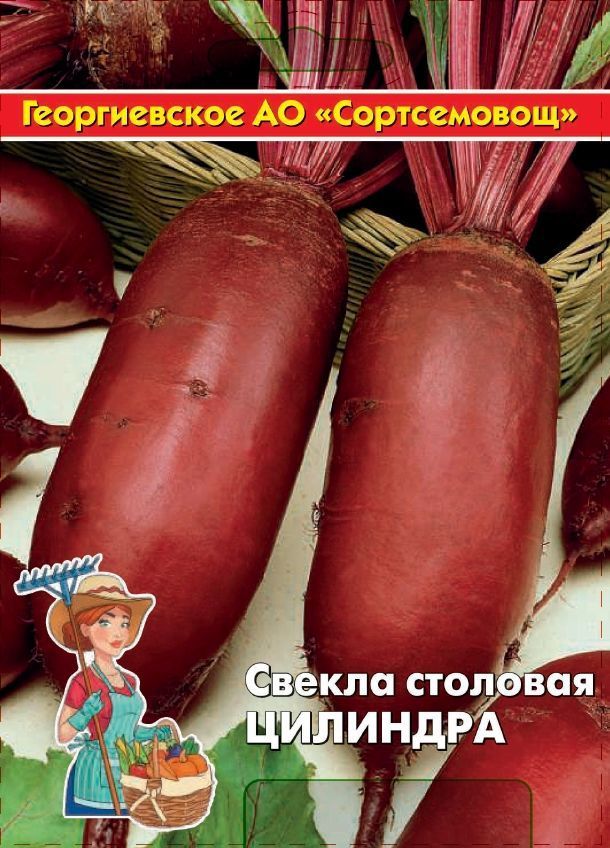 Свекла Цилиндра 5 гр цв.п (Сортсемовощ)