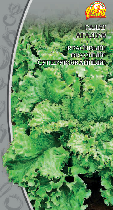 Салат Агадум (Селекция "ВХ")1 гр цв.п