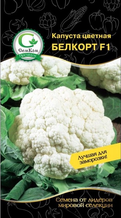 

Капуста цветная Белкорт F1 (Rijk Zwaan) 10шт. цв.п.