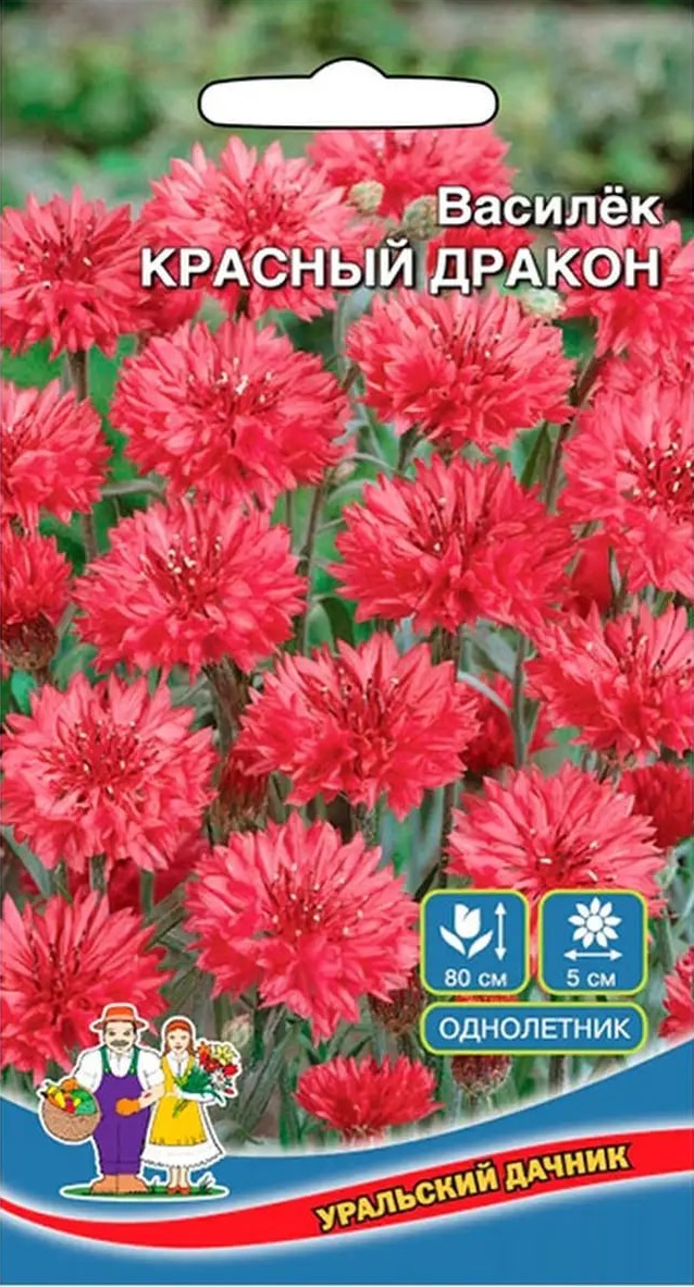 

Василек Красный Дракон (УД) 0,2 гр. цв.п