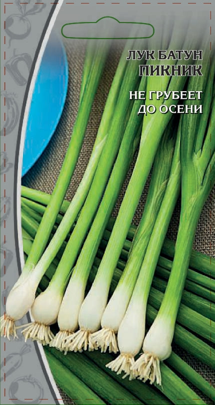 

Лук батун Пикник 1 гр цв.п.