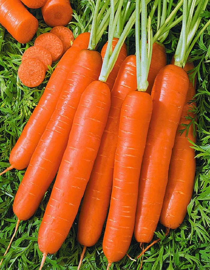 Морковь Амстердамска 2 гр б.п. семена морковь амстердамска 2 г