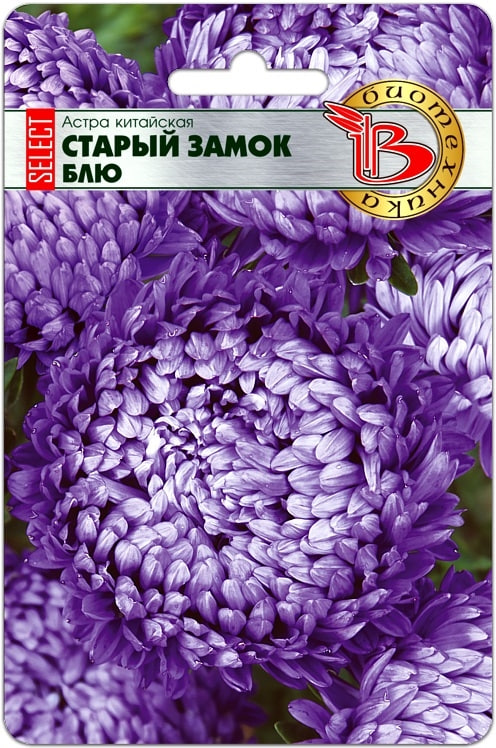 Астра Старый замок селект Блю 30 шт