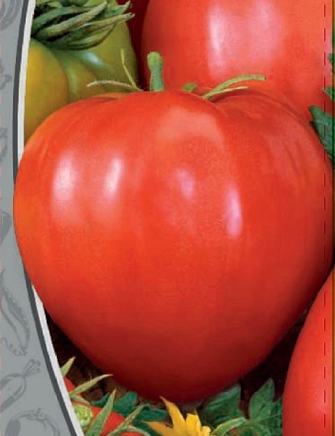 

Томат Бычье сердце 0,05 гр б.п