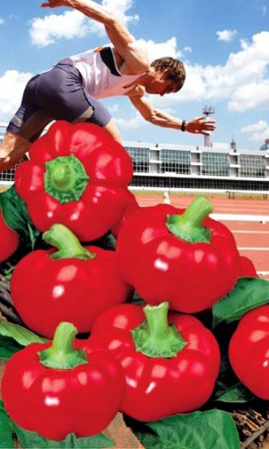 Перец сладкий Спринтер (УД) 20 шт. цв.п.