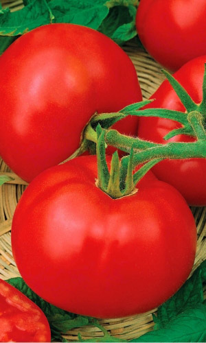 Томат Красная Комета F1 (УД) 12 шт цв.п.