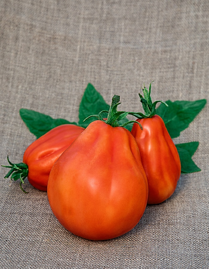 Томат Шеф (Селекция ВХ) 0,05 гр цв.п томат ялик селекция вх 0 05 гр цв п