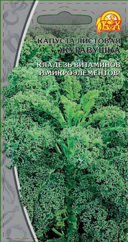 

Капуста листовая Журавушка (Селекция "ВХ") 0,3 гр цв.п.