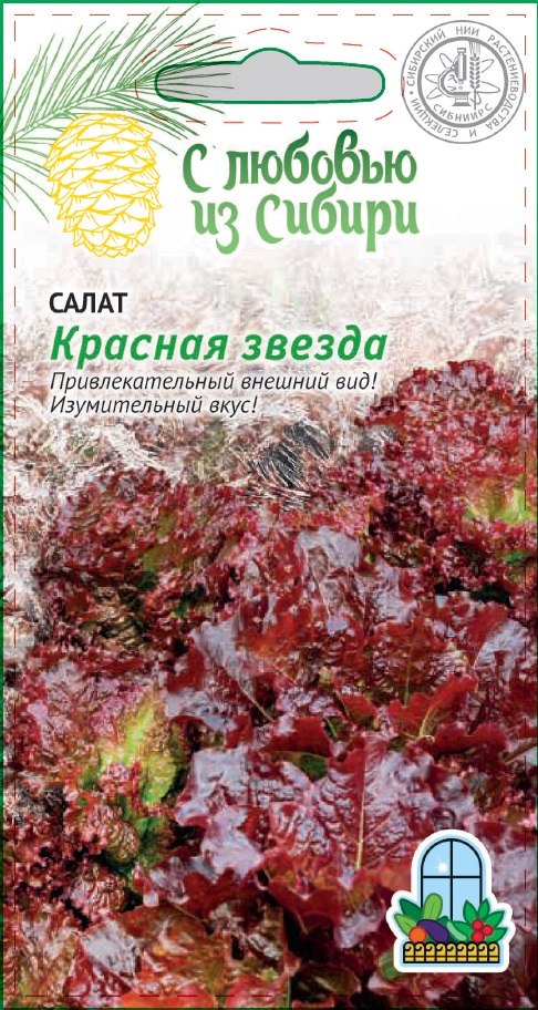 Салат Красная Звезда 2 гр цв.п (Сибирская серия), Салат, Салат семена