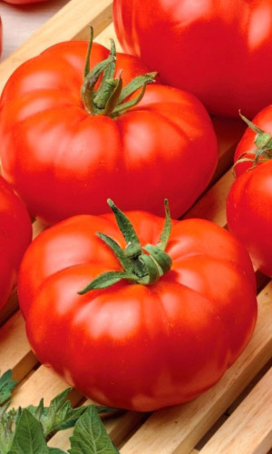 Томат Райское Наслаждение (УД) 20 шт цв.п