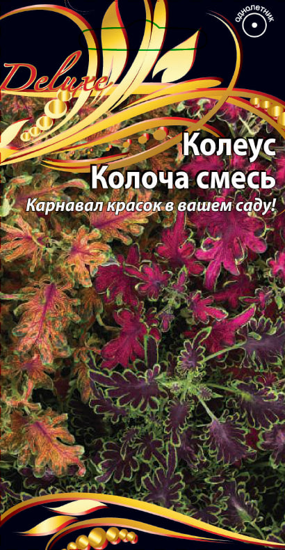 Колеус Колоча смесь 5 шт