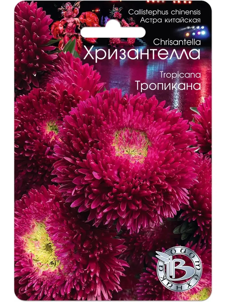 

Астра Хризантелла Тропикана 30 шт