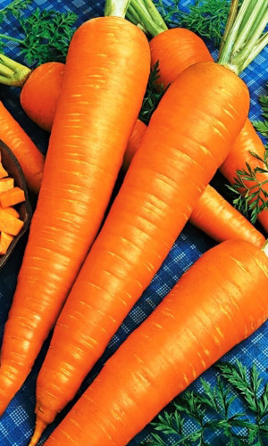 Морковь Сладкая королева (УД) 2 гр цв.п.