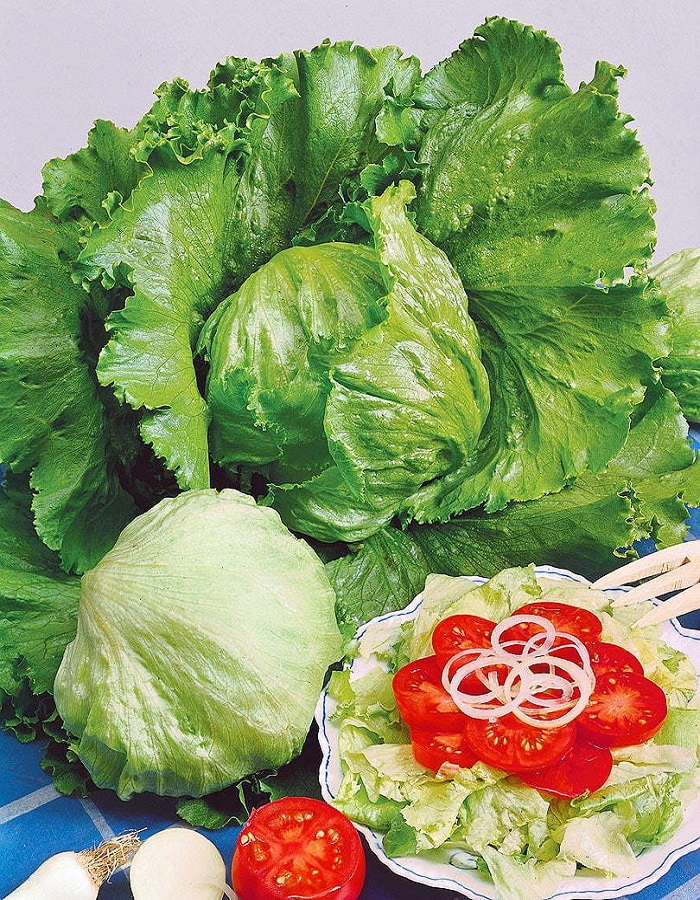 

Салат Цезарь (УД) 0,25 гр цв.п