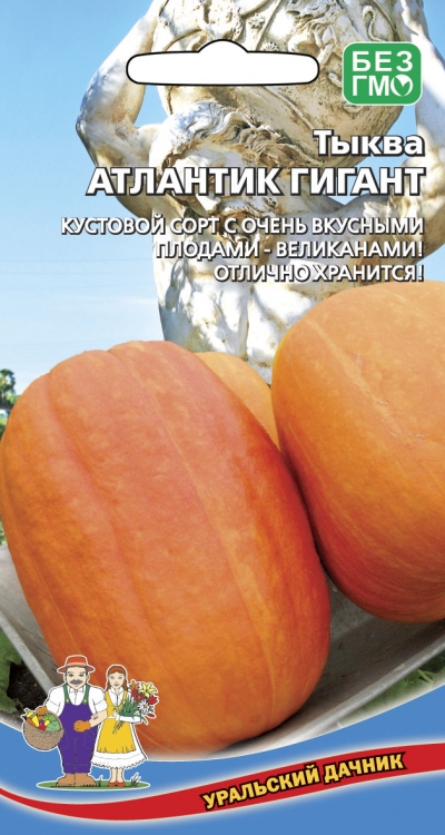 Тыква Атлантик Гигант (УД) 3 шт цв.п. 