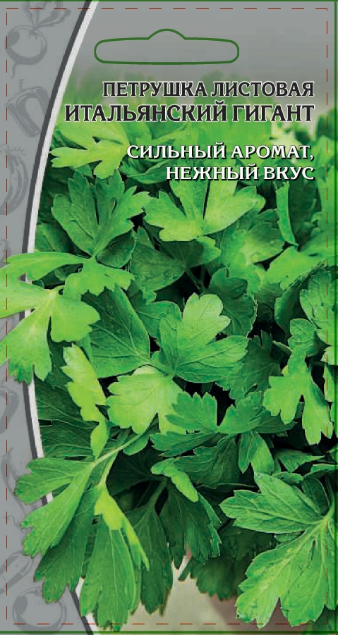 Петрушка листовая Итальянский гигант 3  гр цв.п.