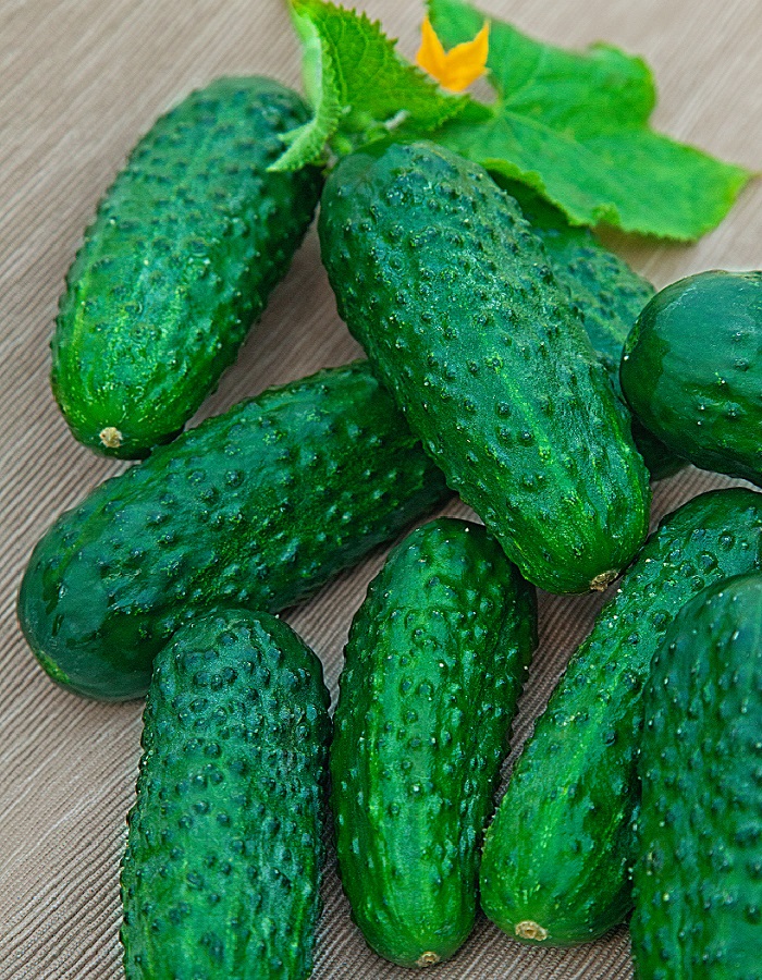 

Огурец Герман F1 (Seminis) 50 шт.