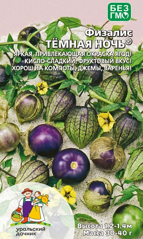 Физалис Темная ночь (УД) 12 шт цв п