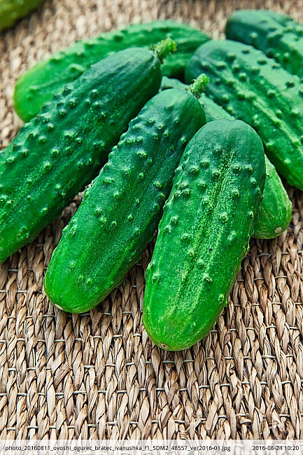 Огурец Братец Иванушка F1 0,25 гр б.п.