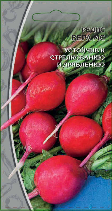 

Редис Вера МС 3 гр цв.п.