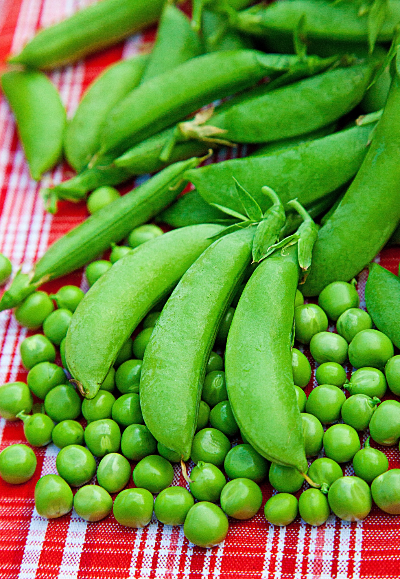 

Горох Амброзия овощной 10 гр б.п.