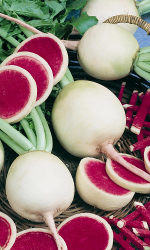 Дайкон Сахарная роза (УД) 1 г. цв.п