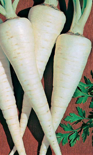 Петрушка корневая Корень Мандрагоры (УД) 2 гр цв.п.