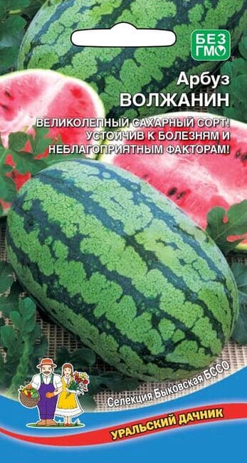 Арбуз Волжанин (УД) 8 шт цв п