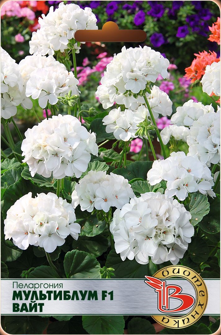 Пеларгония Мультиблум F1 Вайт 5 шт 269₽