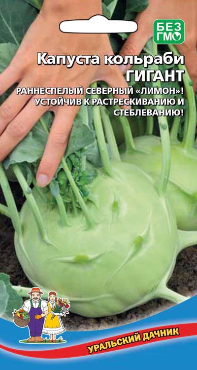 Капуста кольраби Гигант (УД) 0,25 гр цв.п.