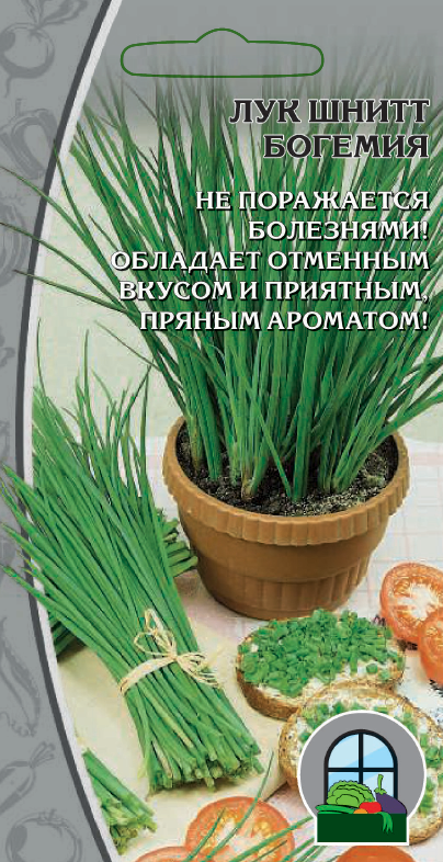 Лук шнитт Богемия 0,3 г цв.п.