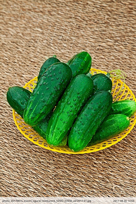 Огурец Конкурент 0,25 гр б.п.