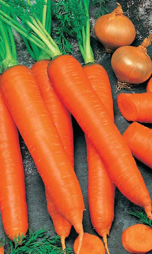 Морковь Зимний Десерт (УД) 1,5гр цв.п.