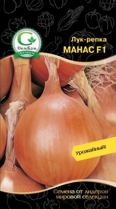 Лук репчатый Манас F1 (Bejo Zaden) 0,5 г цв.п.
