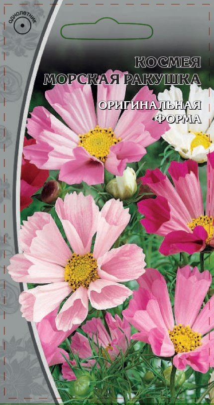 Космея Морская ракушка  0,5 гр