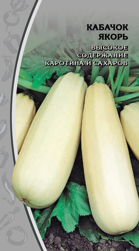 Кабачок Якорь 1 гр цв.п