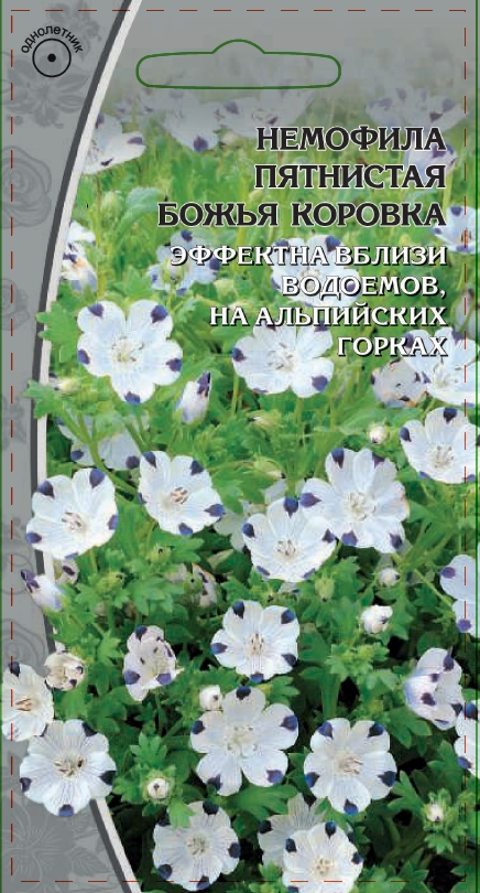 Немофила пятнистая Божья коровка  0,2 гр