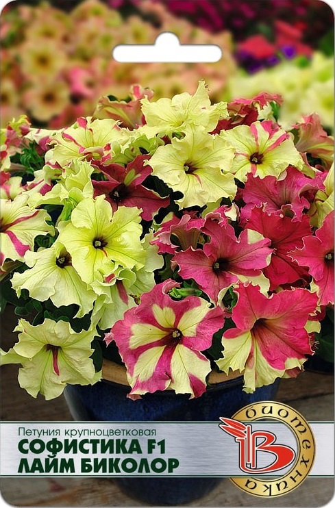 Петуния Софистика F1 Лайм Биколор 6 шт 
